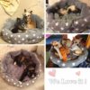 Dog Bed Cat Bed Soft Pet Pad Cushion Pet Mat Dog House Furniture Puppy Blanket Pet Bed Removable Pillow Small Medium Dogs 6