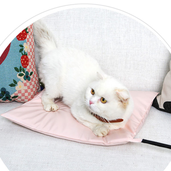 Pet Electric Blanket Waterproof Heating Pads For Cats Winter Series Size S/M/L Dog Puppy Pets Bed Warm Cat Supplies Pet Products