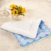 Star Winter Pet Blanket for Small Cats Dogs Thick Sleep Mat Pet Dog Cat Puppy Kitten Puppy Pet Blanket  3 Color 4 Size 4