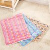 Star Winter Pet Blanket for Small Cats Dogs Thick Sleep Mat Pet Dog Cat Puppy Kitten Puppy Pet Blanket  3 Color 4 Size 5